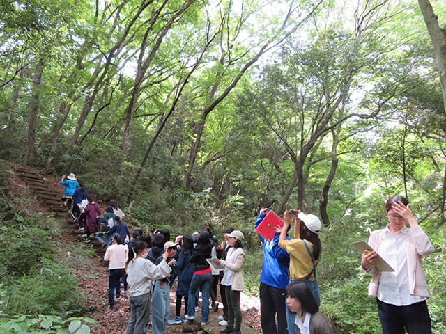 遊歩道をゆっくり観察しながら歩く