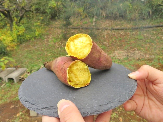 ホクホク焼き芋の完成！！