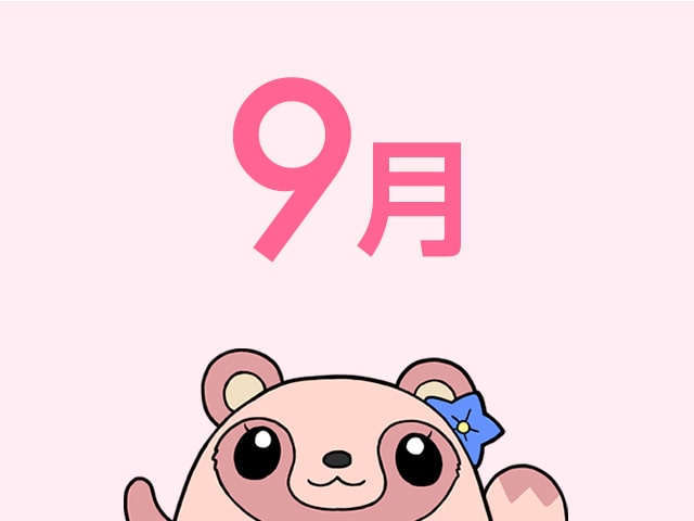 記事写真